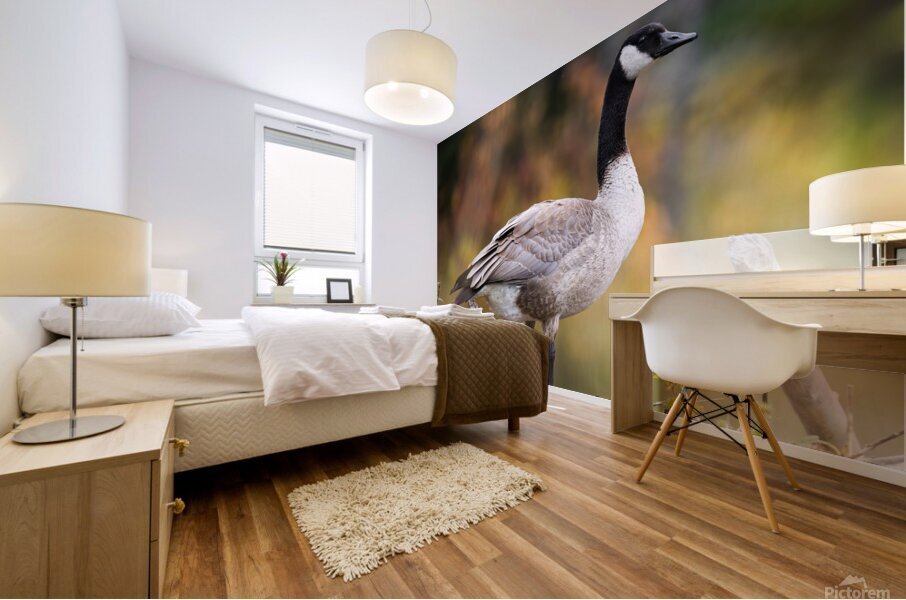 Autumn Goose Mural print