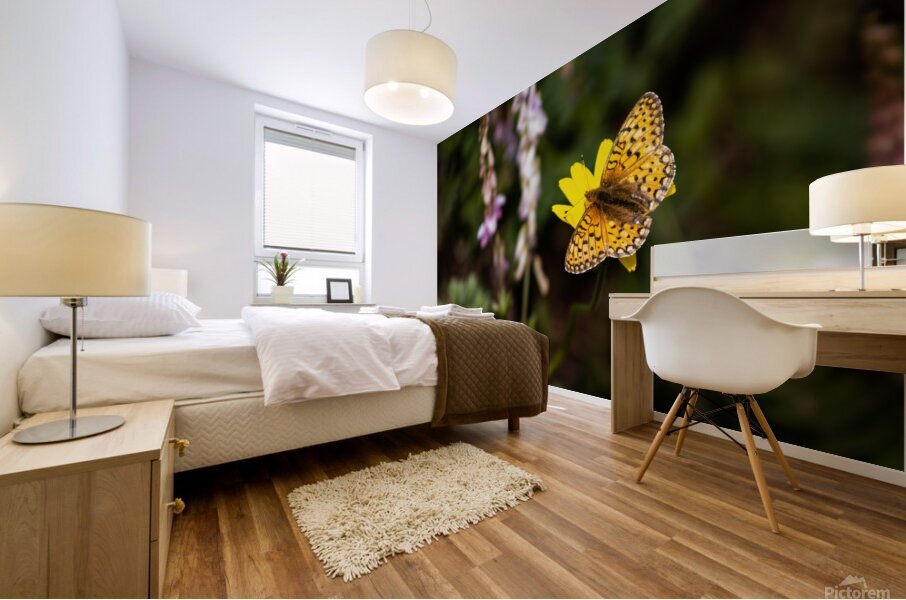 Floating Magic Mural print