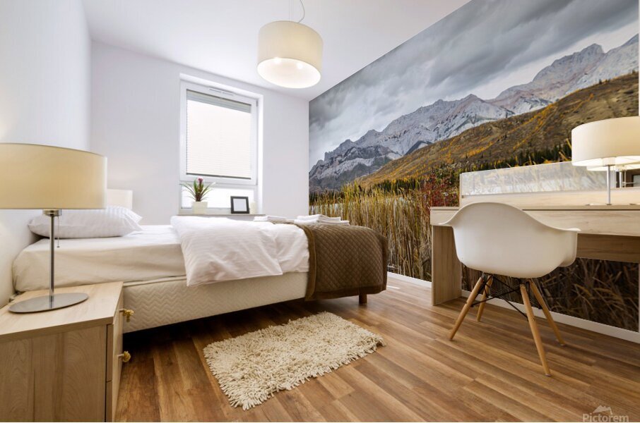Golden Hour Mural print