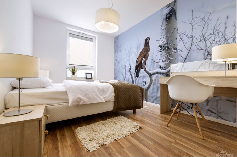 Young Eagle Mural print