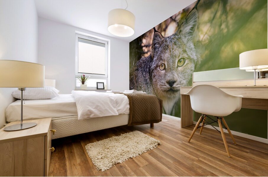 Eye Contact Mural print