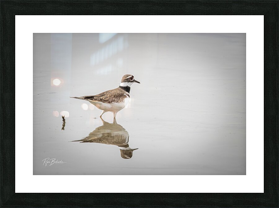 Reflecting Picture Frame print