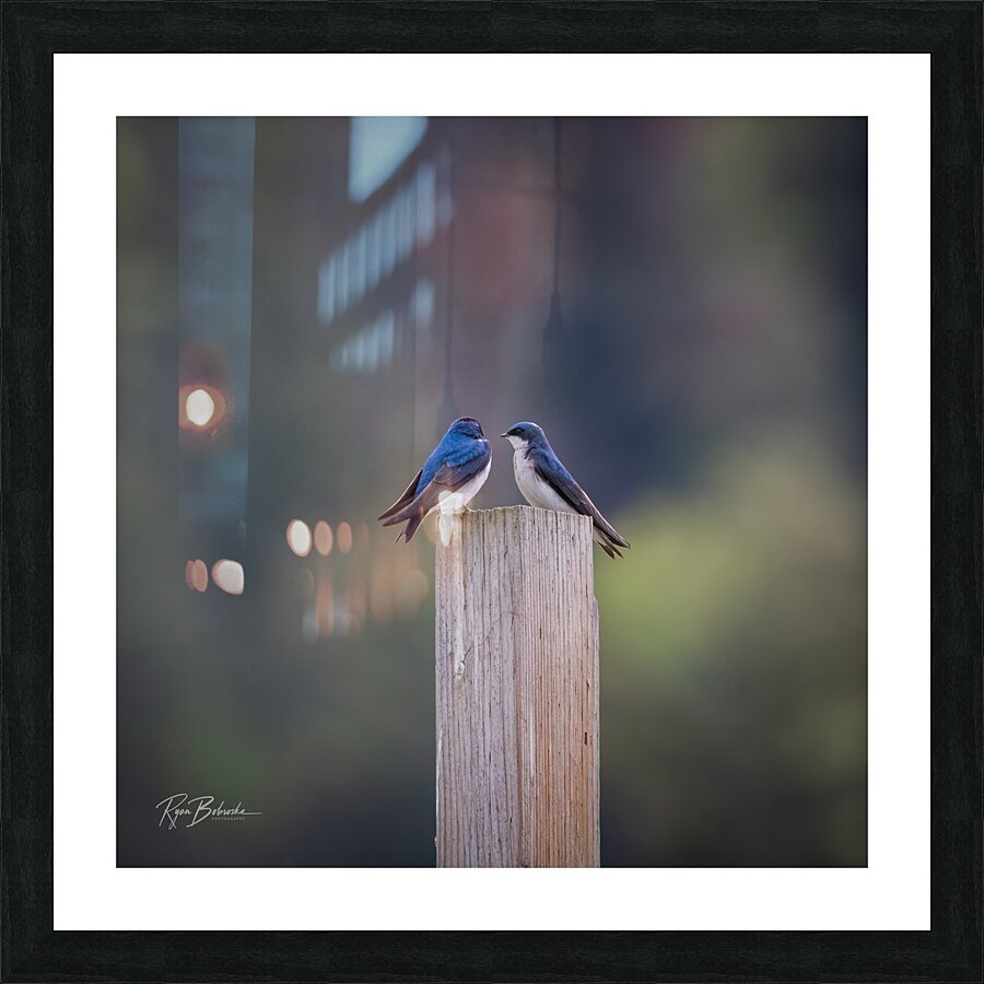 Rendezvous Picture Frame print