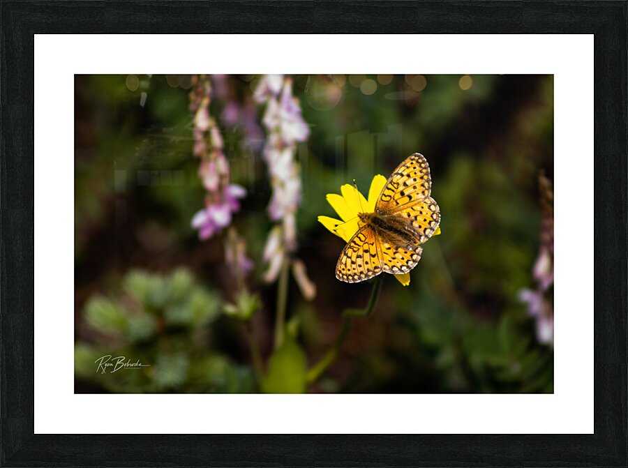 Floating Magic Picture Frame print