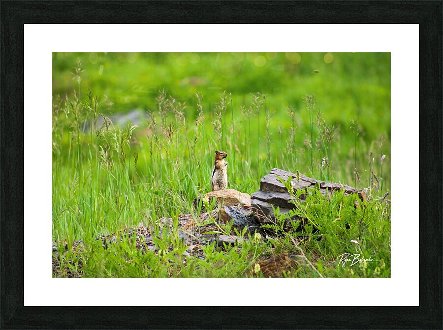 Lookout Duty Picture Frame print