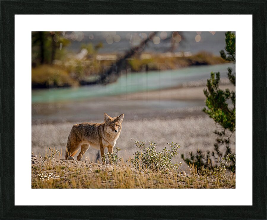 Scavengers Patrol Picture Frame print