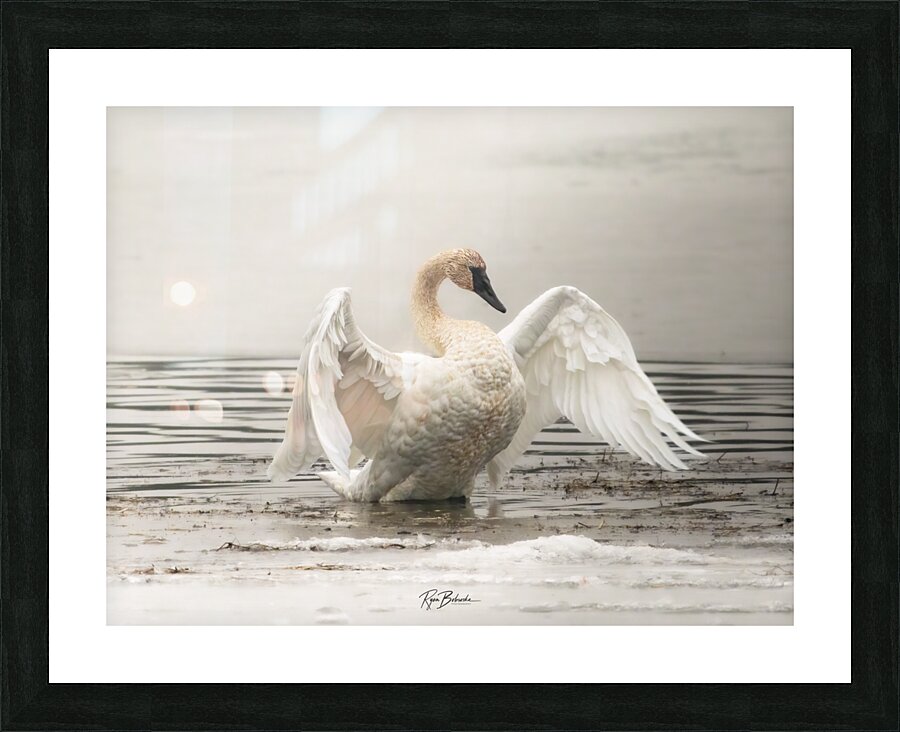 Heavenly Grace Picture Frame print