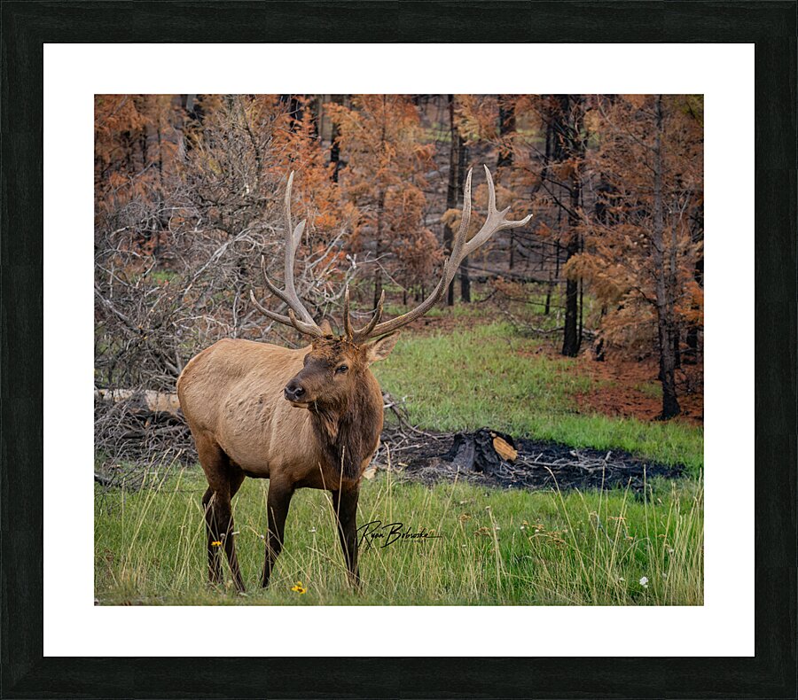 A New Beginning Picture Frame print