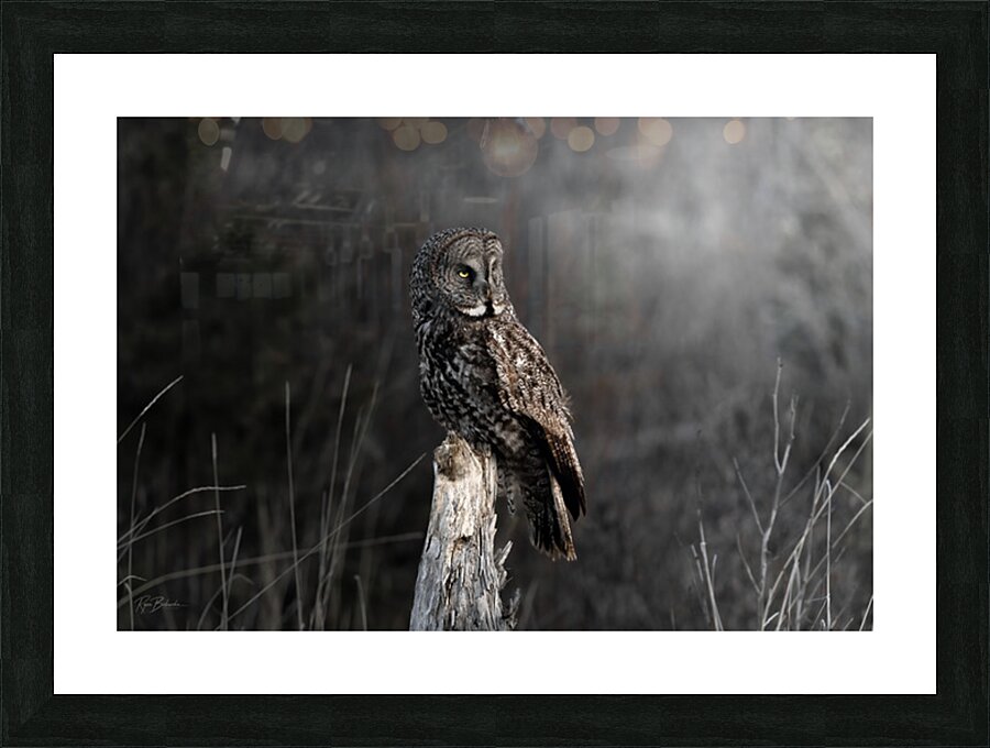 The Great Gray Picture Frame print