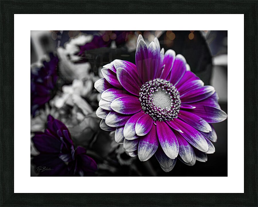 Purple Destination Picture Frame print