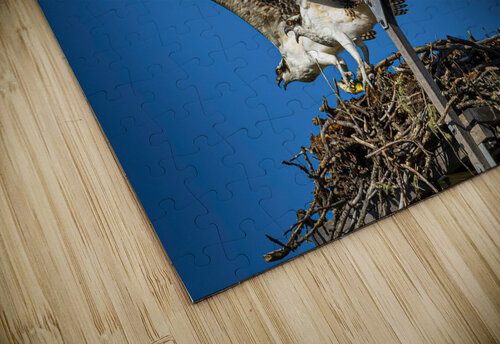 Osprey Nest Ryan Bobroske Photography puzzle