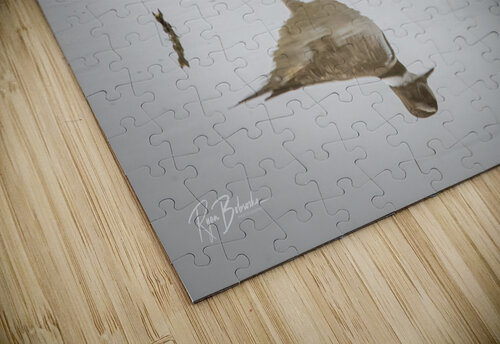 Reflecting Ryan Bobroske Photography puzzle