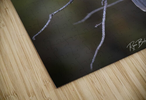Grey Jay Ryan Bobroske Photography puzzle
