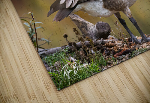Autumn Goose Ryan Bobroske Photography puzzle