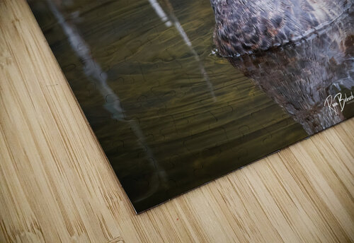 Water off a Ducks Back Ryan Bobroske Photography puzzle