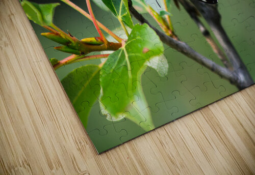 Hanging Out Ryan Bobroske Photography puzzle