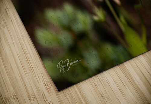 Floating Magic Ryan Bobroske Photography puzzle