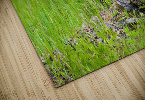Lookout Duty Ryan Bobroske Photography puzzle