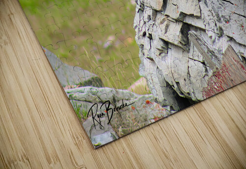 Marmot Rock Ryan Bobroske Photography puzzle