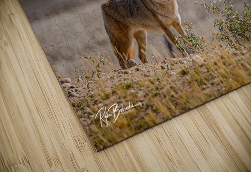 Scavengers Patrol Ryan Bobroske Photography puzzle