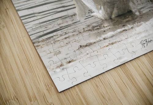 Heavenly Grace Ryan Bobroske Photography puzzle
