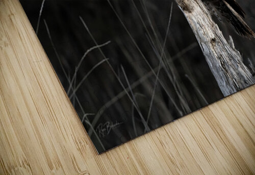 The Great Gray Ryan Bobroske Photography puzzle