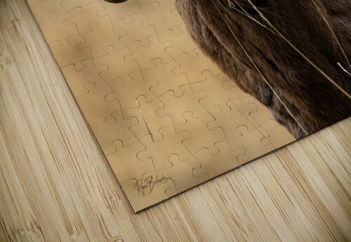 The Boss Ryan Bobroske Photography puzzle