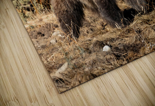 Nomadic Nemesis Ryan Bobroske Photography puzzle