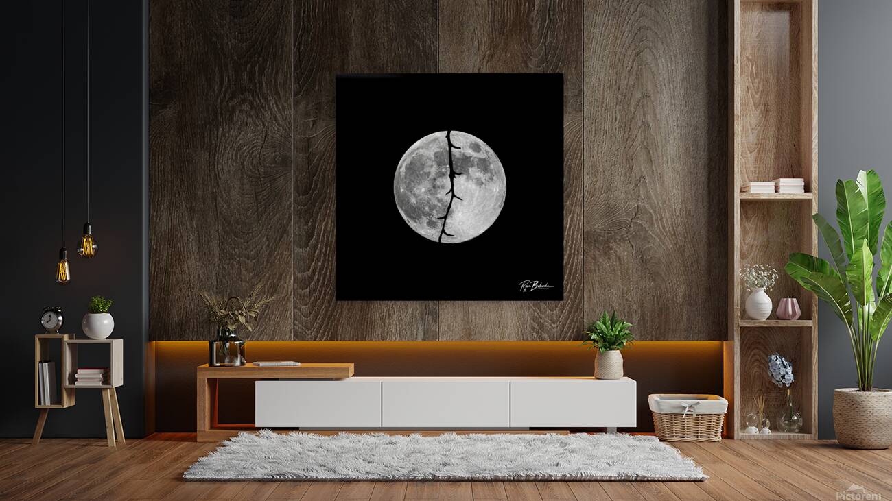 Dark Night Reproduction