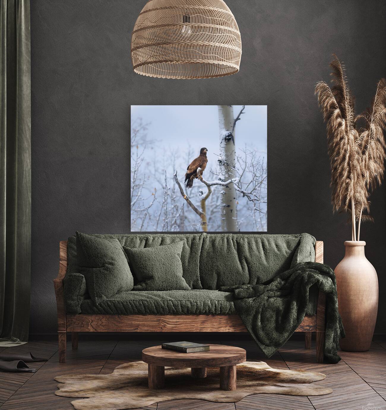 Young Eagle Reproduction