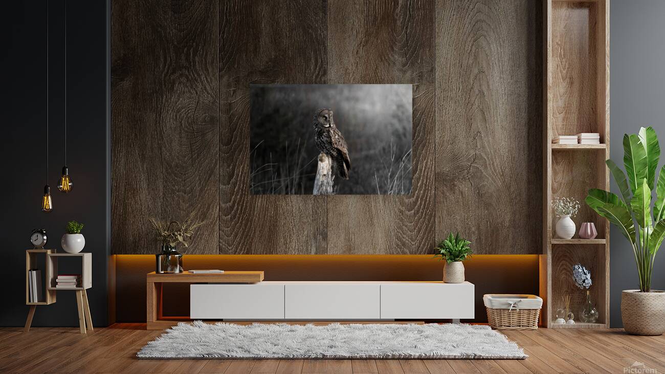 The Great Gray Reproduction