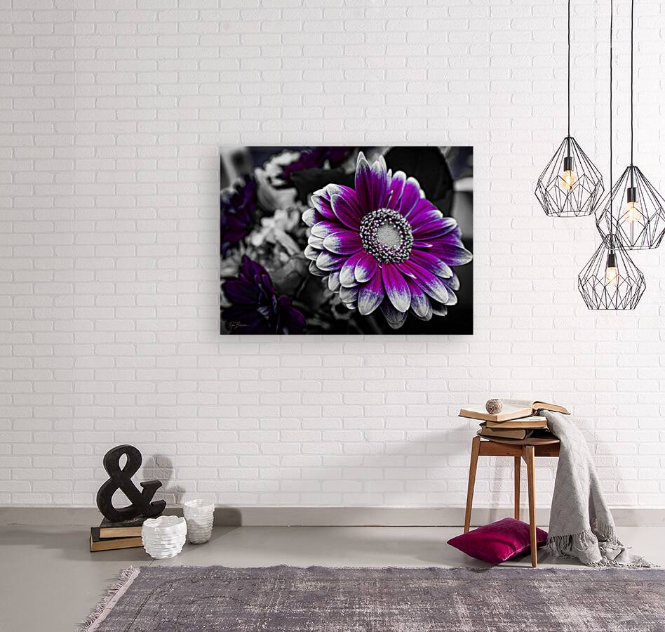 Purple Destination Reproduction