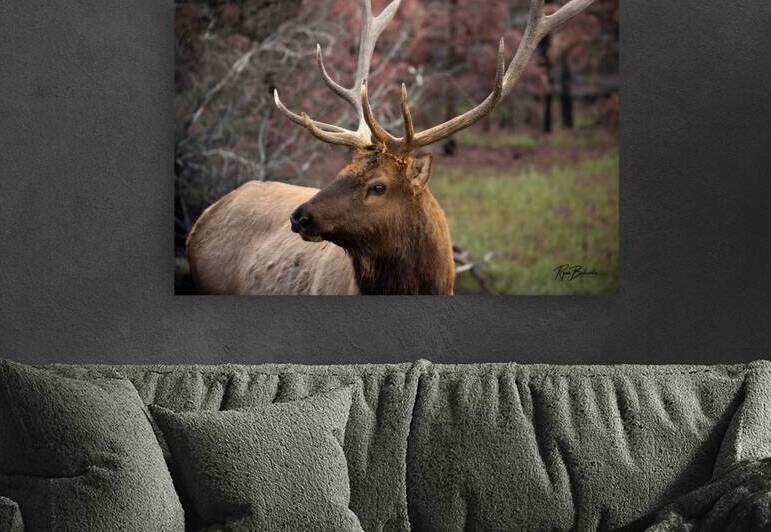 Late In the Rut by Ryan Bobroske Photography