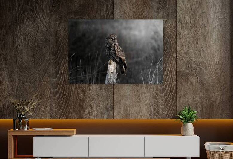The Great Gray by Ryan Bobroske Photography