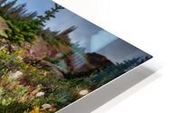 Mountain Creek HD Metal print