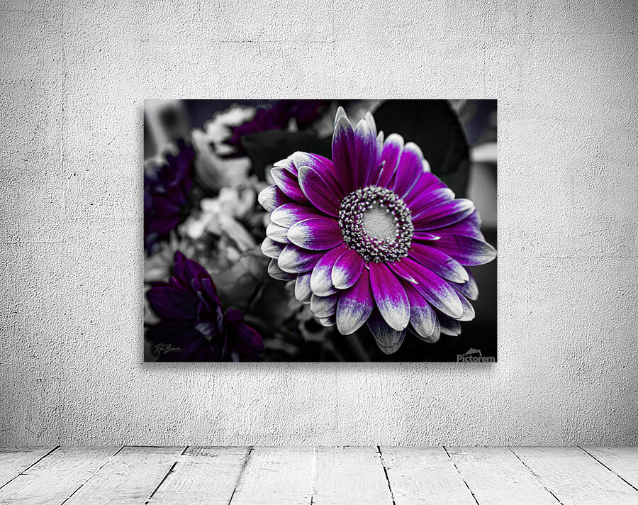 Purple Destination Wall Preview