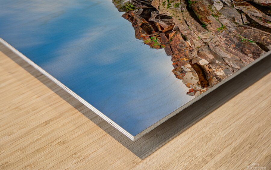 Natural Elegance Wood print