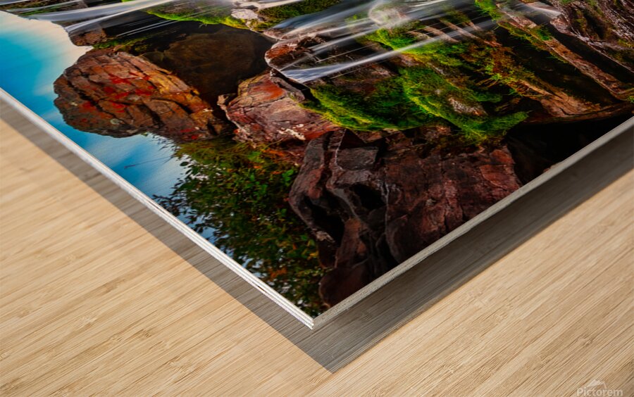 Mossy Peace Wood print