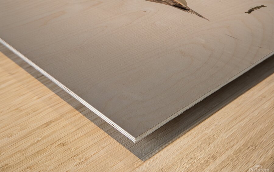Reflecting Wood print