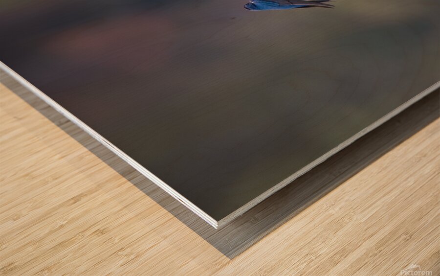 Rendezvous Wood print