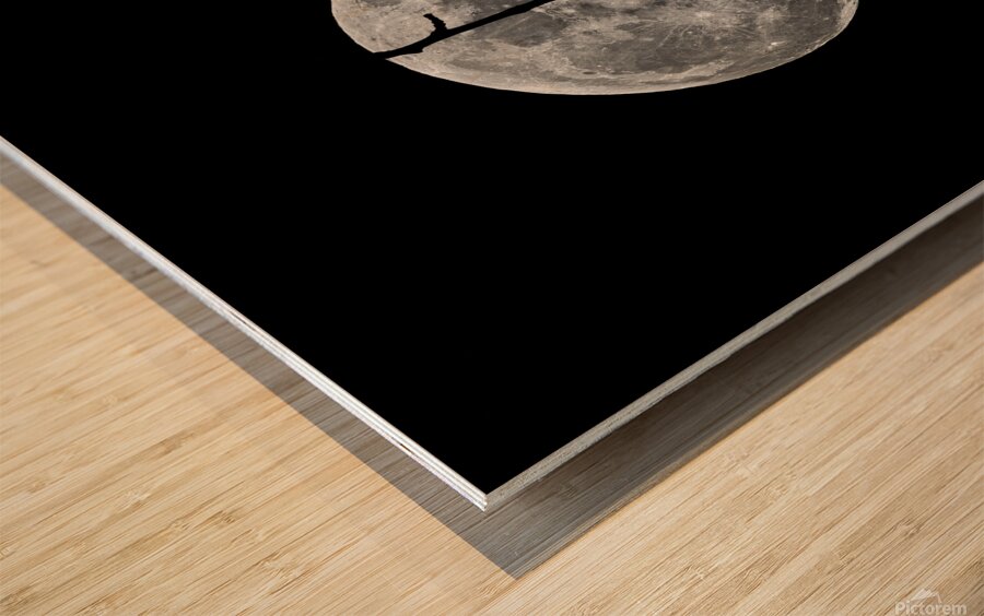 Dark Night Wood print