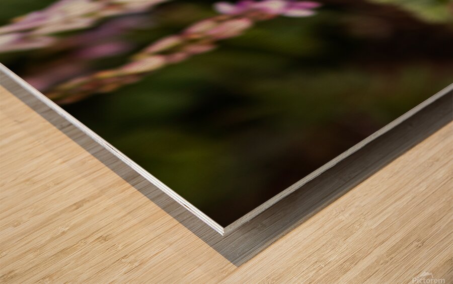 Floating Magic Wood print
