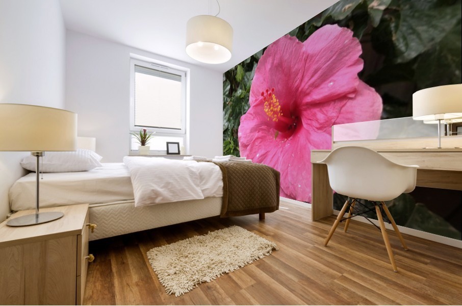 Hibiscus-1 Mural print