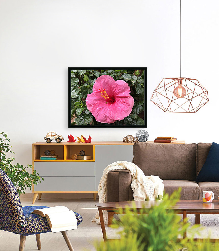 Hibiscus-1 Reproduction