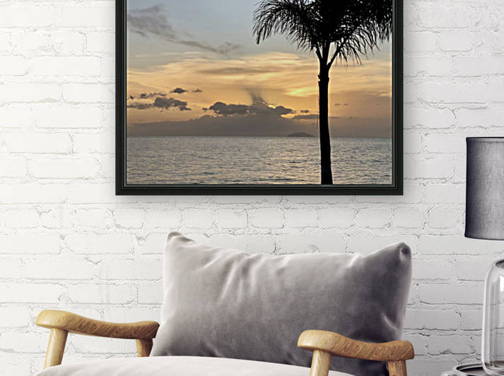 Rincon-Puerto-Rico-2019-9 by Dogtown Guy
