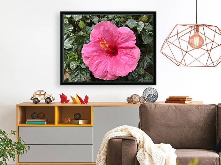 Hibiscus-1 by Dogtown Guy