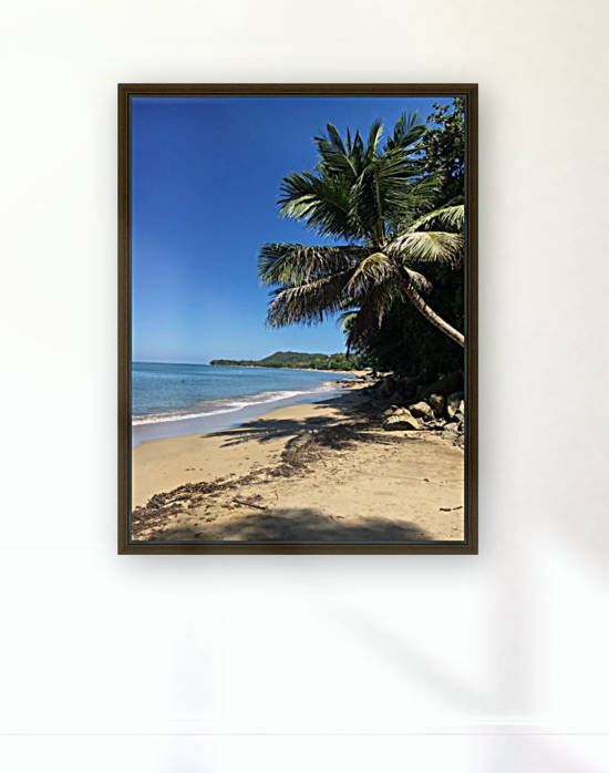 Rincon-Puerto-Rico-2019-11 by Dogtown Guy