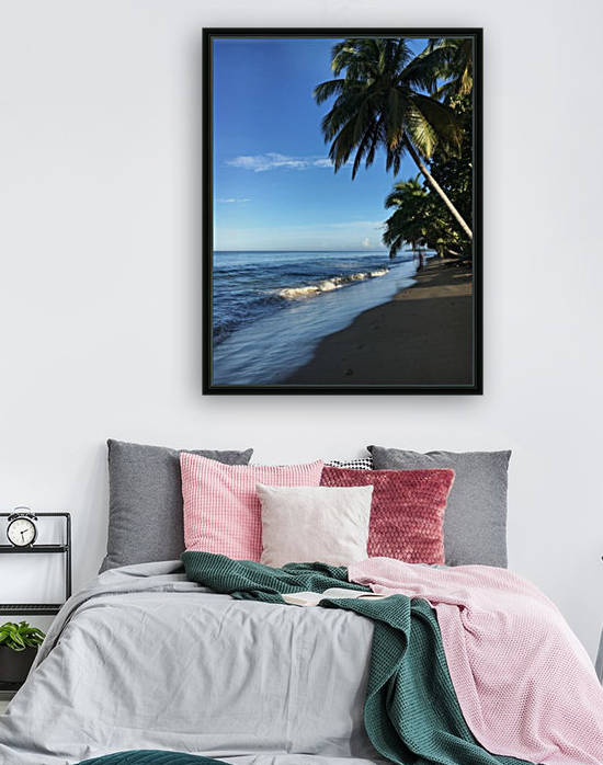 Rincon-Puerto-Rico-2019-21 by Dogtown Guy
