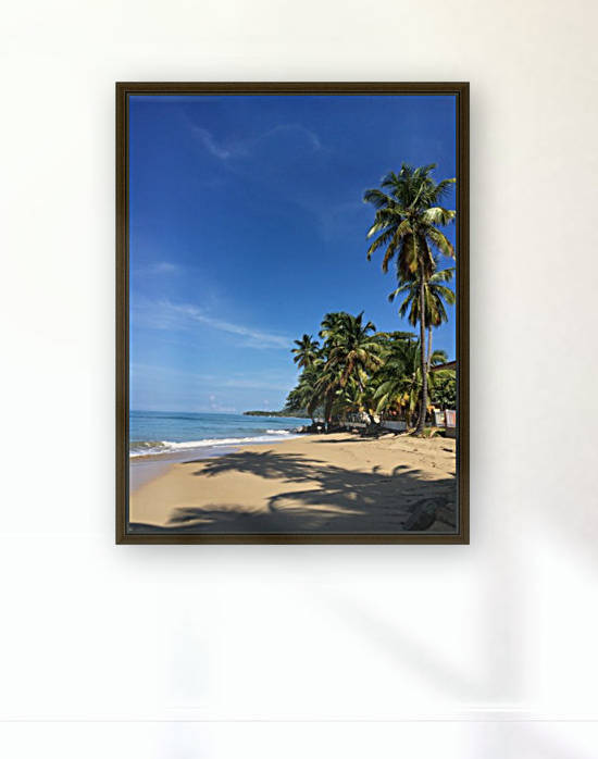 Rincon-Puerto-Rico-2019-20 by Dogtown Guy