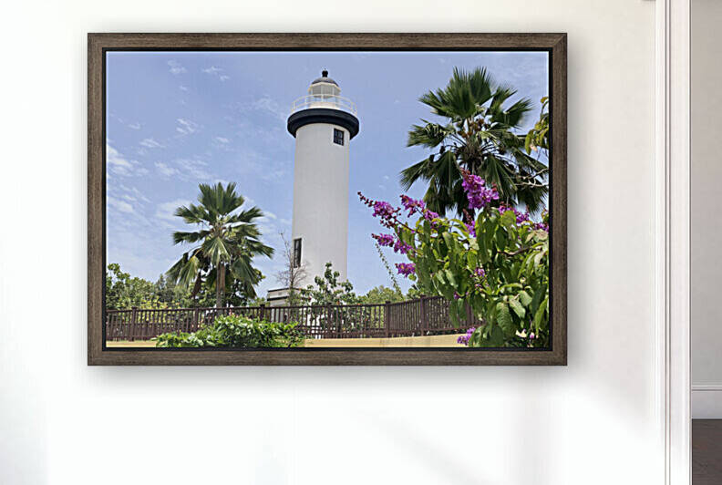Rincon-Puerto-Rico-2021-1 by Dogtown Guy